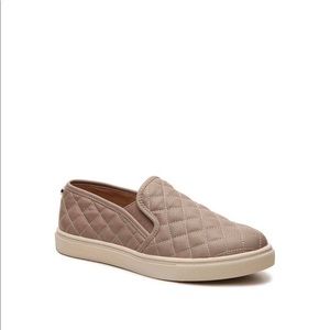 Steve Madden Ecentrcq taupe sneakers!